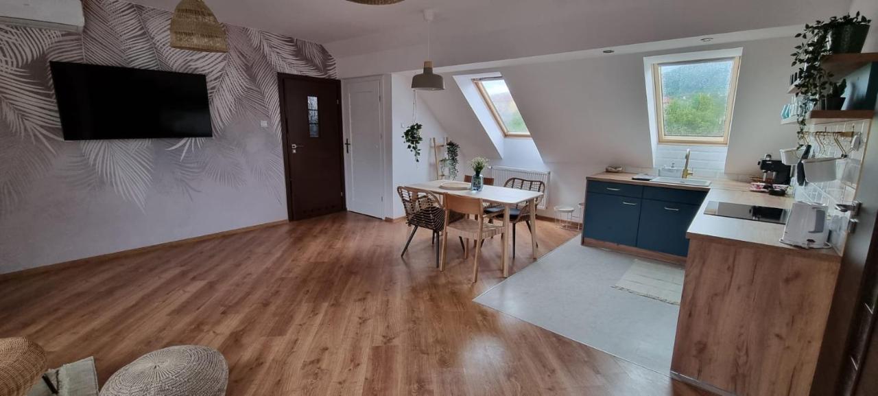 Apartament W Centrum - Nasze Poddasze Ustrzyki Dolne Exterior photo